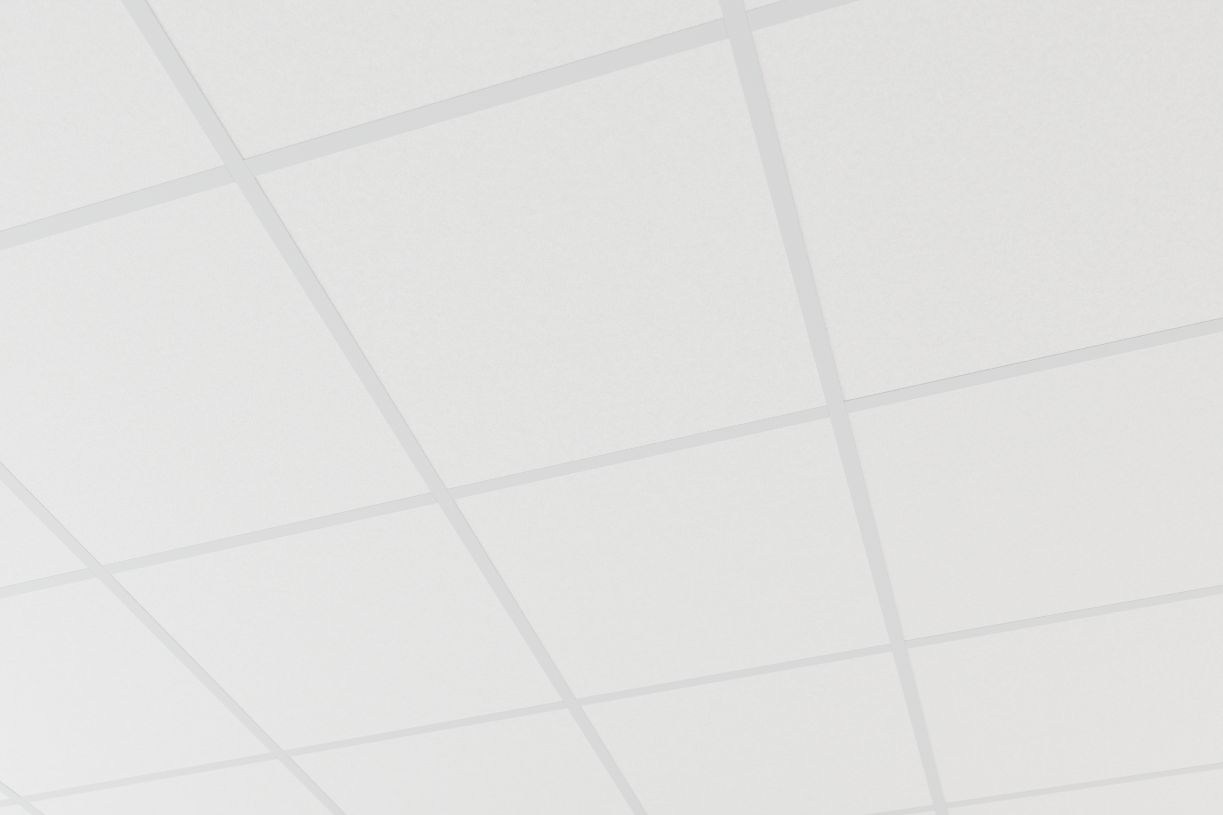 aisti_grid_600x600_hvid_skinne-soelvgraa