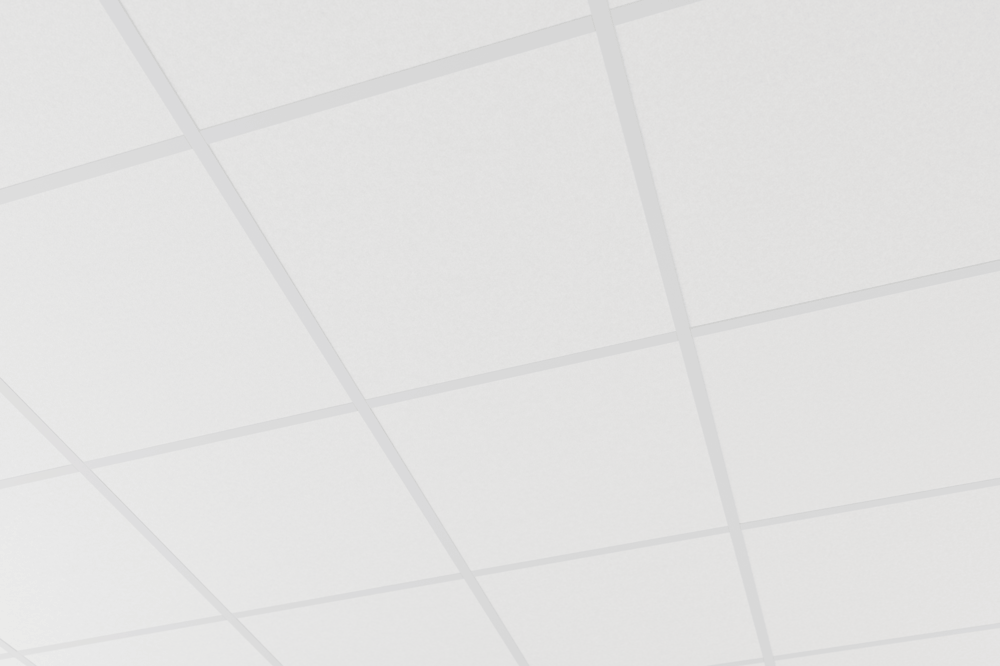 aisti_grid_600x600_hvid_skinne-soelvgraa