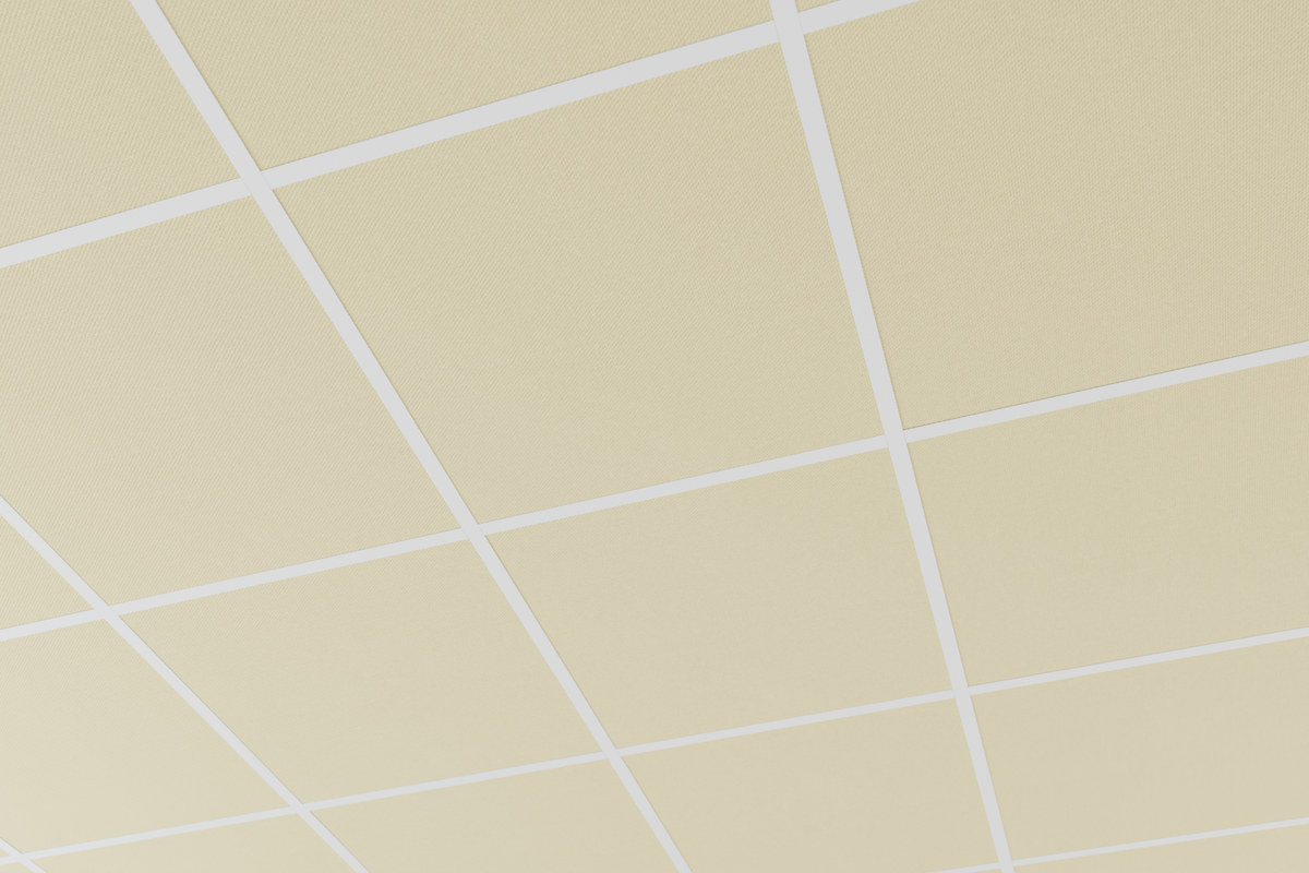 aisti_grid_600x600_kerne_skinne-soelvgraa