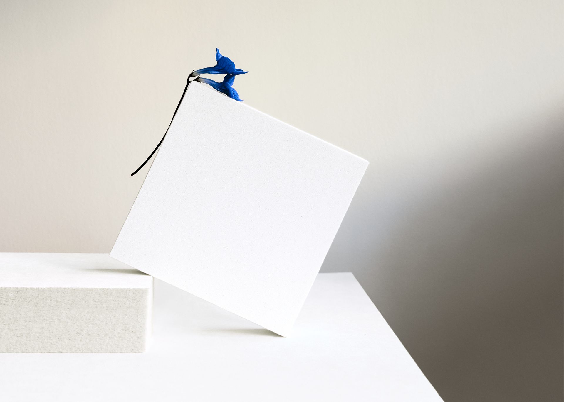 Aisti Acoustic Tile